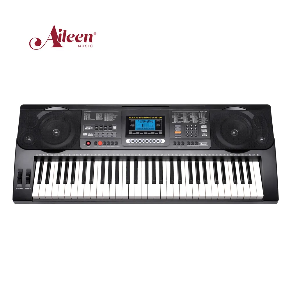 Ready to Ship Eletronic Organ Keyboard Musical Instruments 61 Key Piano Organ Elektronik(EK61223)
