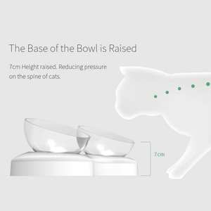 Beste Huisdierbenodigdheden Diervoeders Katten Honden Voerbakken Verstelbare Hoek Transparante Kat Gekantelde Voerbakken - Product Image 3