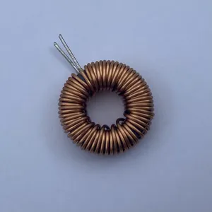 Custom T80-2 Hollow Winding Magnetic Ring Inductor