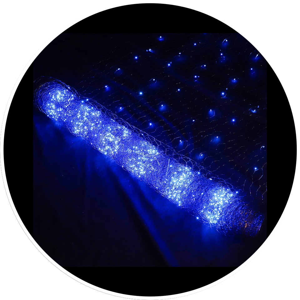 Bleu