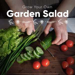 Coffret cadeau de Semences de légumes patrimoniaux certifiés biologiques, lot de 9 sacs de culture de plantation, tomates cerises, laitue romaine, pois pression sucre - Product Image 6