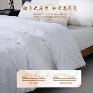 <b>Handmade</b> Mulberry Silk <b>Quilt</b> 100% Cotton 3-4 Jin Four Seasons Home Use - Product Image 1
