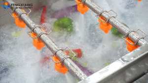 Industriële Spray Luchtbel Groenten En Fruit Wasmachine Met Transportband - Product Image 4