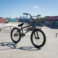 Horquilla de Acero Chromoly en Stock de Fábrica Bicicletas BMX de 20 Pulgadas Bicicleta Freestyle BMX Económica para Hombres