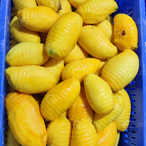 Machine à éplucher et à couper les mangues électriques, machine à retirer les noyaux <span class=keywords><strong>de</strong></span> mangue, à vendre, coupe-légumes multifonctionnel - Product Image 4