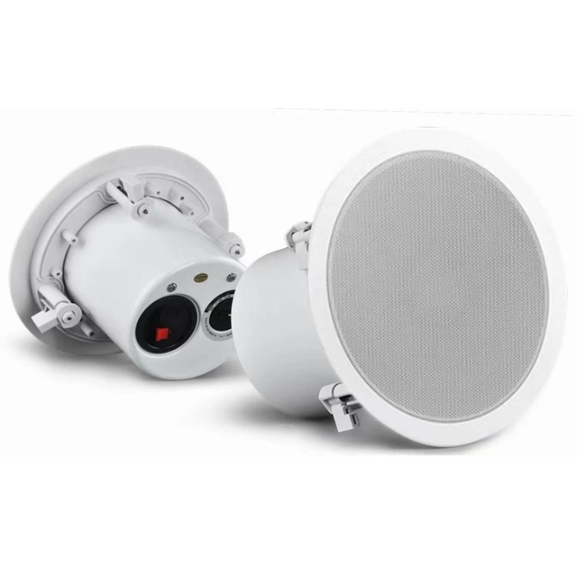 Professional Audio PA Sound System Ceiling Speaker Coaxial and Twin Speaker Outdoor Sound System