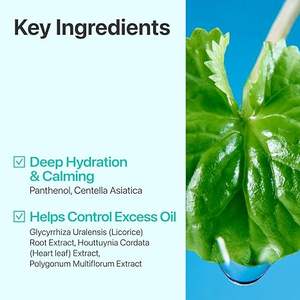 Tonique Apaisant aux Herbes Pure-Full N°1 - Tonique Visage Apaisant pour Peaux Sensibles à la Camomille et à la Centella Asiatica - Product Image 5