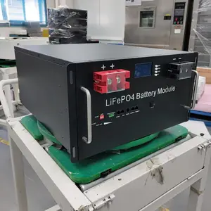 Customized Lipo4 Lithium 48V 100Ah 51.2V 100Ah 200Ah 48V Lifepo4 Battery Pack Lithium Iron Lifepo4 Battery 48v 200ah