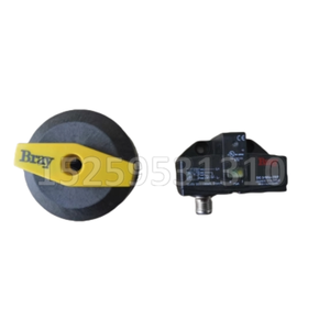 Interrupteur de proximité Borel américain 540001-71104533 52-1001-71114-536 Valve de proximité électrique en aluminium à retour de position OEM - Product Image 1