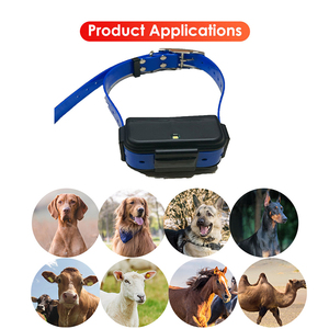 Factory Direct Hunting Dog <span class=keywords><strong>GPS</strong></span> <span class=keywords><strong>Tracker</strong></span> 4G Localizador en línea <span class=keywords><strong>TKstar</strong></span> 3000mAh con dispositivo de seguimiento de collar para animales - Product Image 2