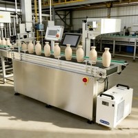 Machine de marquage laser en ligne pour codes QR sur bouteilles |   Chargement manuel, vérification et agrégation de données pour Russian Chestny ZNAK