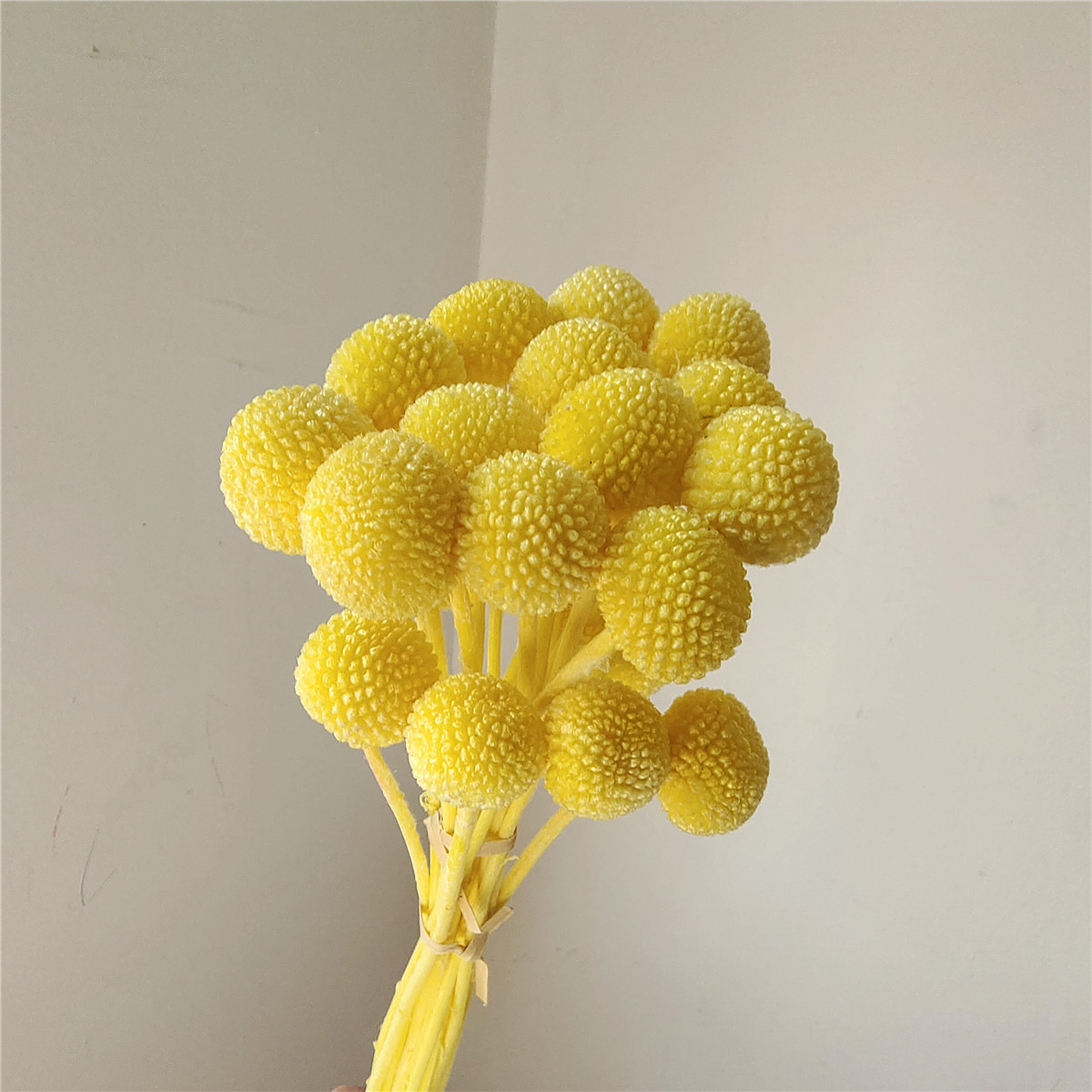 Jaune