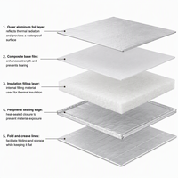 Panneau d'isolation sous vide (VIP) pour mur-rideau, façade, porte, tuyau isolé, conteneur modulaire, bâtiment préfabriqué, souterrain