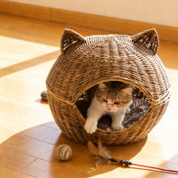 Lit pour chat en forme de grotte, écologique, respirant, en rotin, lavable, pour chat et chiot, avec emballage en carton