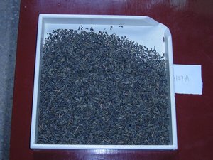 Famosa China té <span class=keywords><strong>verde</strong></span> marcas gacela chunmee 8147A - Product Image 2