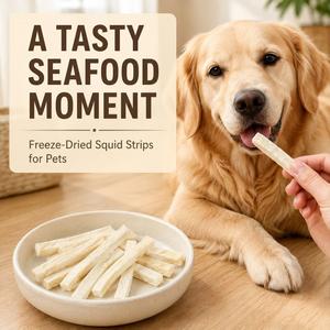 Paitei High <strong>Protein</strong> Grain-Free Low Fat Natural Seafood Healthy Premium Pet Dog Cat Treats Snacks Freeze-dried Squid Fillet - Product Image 6