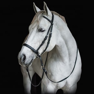 Brida de Cuero Genuino Premium sin Bocado, Duradera y Suave, para Equitación Inglesa, para Doma y Actuaciones - Product Image 2