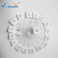 Microscope Prepared Slides 25 Pieces of Student Biological Education Microscope Prepared Slides Biology Slides Prepared Slides