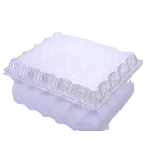 Best Quality China Manufacturer Polystyrene Biodegradable Epe Egg Clam Shipping Trays With Box