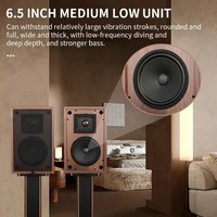 Altavoz HIFI para estantería, caja de madera pasiva, sin batería, sin pérdidas, de PVC, de alta fidelidad, con caja de madera