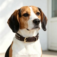Collier pour chien en cuir pleine fleur à double rangée de diamants, cousu main, boucle en alliage antirouille, B2B