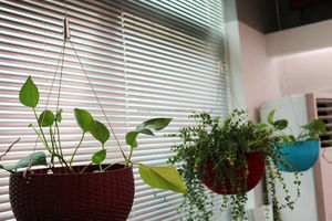 XINRONG Vente en gros Clips de câble en acier inoxydable Support de câble Système de <span class=keywords><strong>suspension</strong></span> pour éclairage Câble <span class=keywords><strong>Suspension</strong></span> - Product Image 6