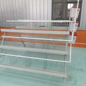 Sıcak satış 4 katlı 4 kapılar katmanlı tavuk kafesi karaçi tavuk çiftliğinde satılık a tipi pil yumurta tabakası tavuk kafesleri - Product Image 3