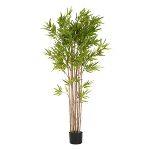 USA Warehouse 2026 Summer Hot Sale Artificial Bamboo <b>Tree</b> 175 Centimeters Tall Plastic <b>Pot</b> High Simulation Indoor Decor Plant - Product Image 6