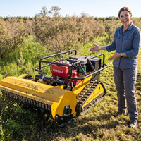 Tondeuse à gazon télécommandée professionnelle pour plantations agricoles avec lames à fléaux pour la coupe de branches épaisses