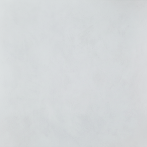 Panneau mural anti-fongique, panneaux de revêtement mural, panneau décoratif - Product Image 1