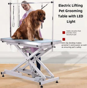 PetFit profesyonel elektrikli kaldırma köpek bakım masası ile Pet bakım Salon için LED ışık büyük köpek için - Product Image 1