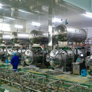 Châtaignes surgelées décortiquées, emballées sous vide, norme d'exportation, vente en gros - Product Image 5