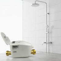 Compteur de débit d'eau à ultrasons MAINONE OEM en laiton IP68 15 mm RS485/M-BUS/LORA/LORAWAN/Pulse
