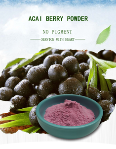 アントシアニンが豊富なフリーズドライアサイベリー抽出物 - Product Image 2