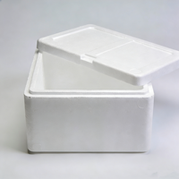 Boîte isotherme personnalisée en polystyrène de qualité alimentaire, glacière en polystyrène, boîte à fruits de mer et médicaments en mousse EPS