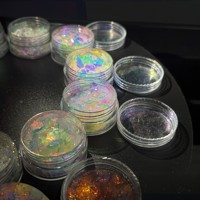 Les pigments phosphorescents brillent dans la peinture caméléon en poudre sombre grippe électroluminescente inorganique
