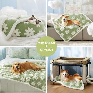 Étanche personnalisé chien chat couverture lit crique couvertures pour animaux de compagnie flanelle jeter avec logo pour chien chiot couverture animaux de compagnie couvre-lit - Product Image 3