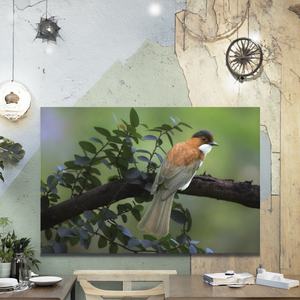 Cristallo ardesia digitale <span class=keywords><strong>pittura</strong></span> a olio galleria avvolta tela animale <span class=keywords><strong>pittura</strong></span> decorativa per la casa parete arte stile realista impermeabile - Product Image 2