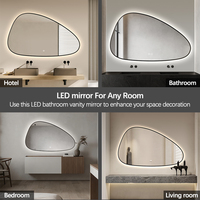 2026 New Arrival Irregular Smart Silver Mirror Glass Led Lighted Bathroom Mirror Custom Sower Vanity Mirror with Aluminum Frame