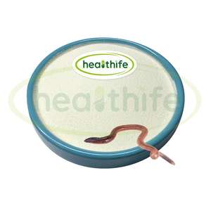 फोशशर मिट्टी का अर्क 20000 iu/g lumbrinase पाउडर - Product Image 1