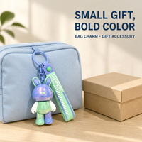 Porte-clés Lapin Mignon en Silicone avec Dragonne, Breloque de Sac, Pendentif Arc-en-ciel Kawaii, Vente en Gros, Personnalisation OEM ODM