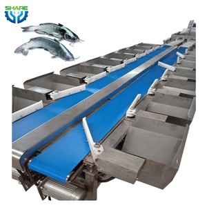 Máquina clasificadora automática de pescado y marisco para patas de pollo, máquina clasificadora de peso para camarones y peces, máquina clasificadora de peces - Product Image 1