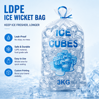 Sacs d'emballage pour glace en plastique transparent de qualité alimentaire, avec logo personnalisé, résistants aux fuites, en LDPE, pour glaçons