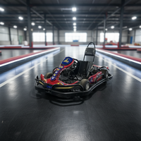 Karts de course tout-terrain SRYG d'origine usine 200CC/270CC/390CC à moteur 4 temps à essence, haute performance, simples et doubles, charge maximale 200 kg