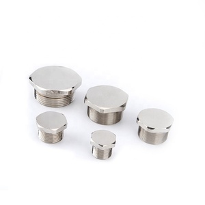 ATEX EAC IEC Cấp Giấy Chứng Nhận Dừng Cắm Chống Cháy Nổ Kim Loại Brass IP66 Không Thấm Nước G Chủ Đề Nước Cắm - Product Image 2