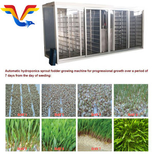 Máquina de Alta Eficiencia y Duradera para el Cultivo de Forraje Verde para Ganado, Contenedor para Germinación de Brotes de Frijol, Proveedor - Product Image 5