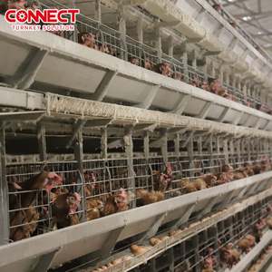 Cages industrielles pour poules pondeuses en batterie pour grand projet avicole Équipement automatique d'élevage de volaille avec système de ponte - Product Image 1