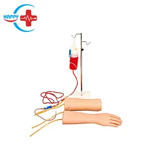 Modelo de treinamento do sangue da mão e do cotovelo, modelo de injeção de punção de braço veias combinadas da mão humana e do cotovelo da ciência médica HC-S164