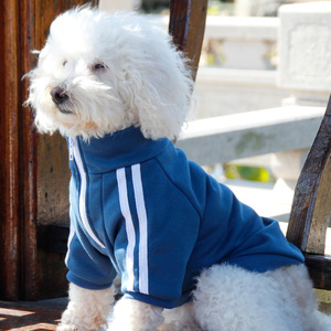 Sudadera con capucha estilo campus para perros, azul y rojo retro, deportiva y moderna, ropa para mascotas para todas las estaciones, para Teddy, Bichón, Schnauzer, Corgi - Product Image 3