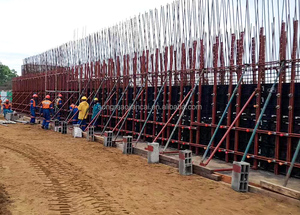 Tái sử dụng hơn 120 lần ván khuôn bê tông nhựa cho nền móng tường tấm mái cột mẫu miễn phí - Product Image 5